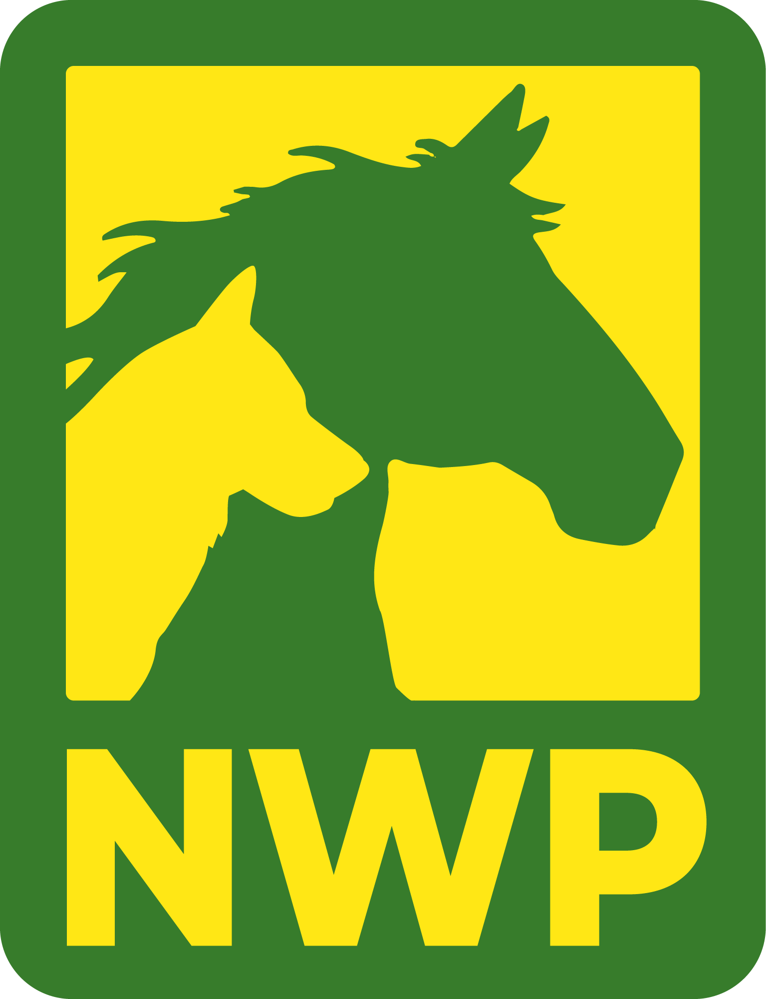 NWP