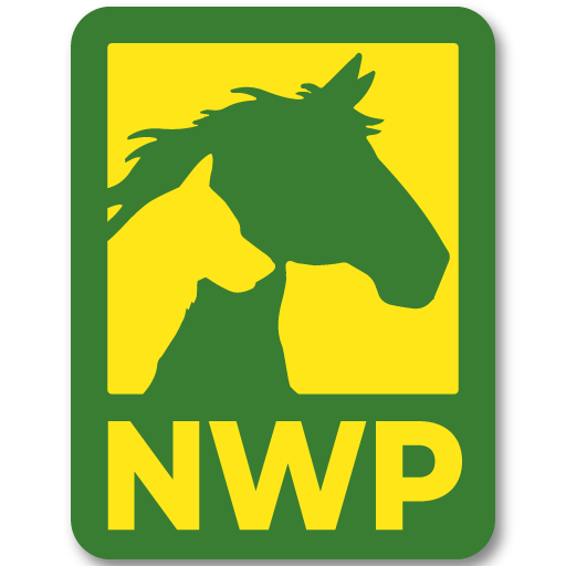 NWP