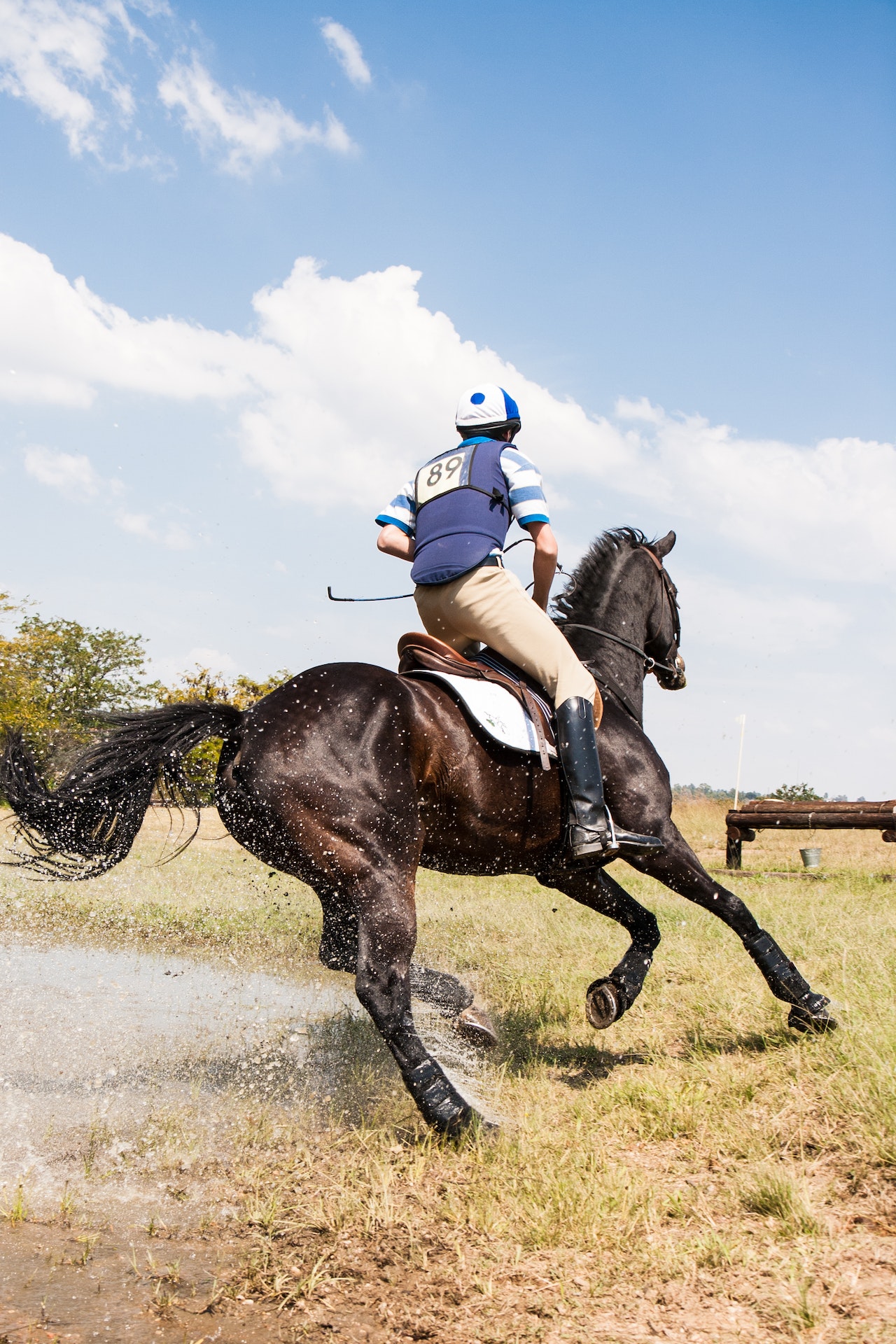 Equitazione accessori cavalli: quali sono indispensabili?